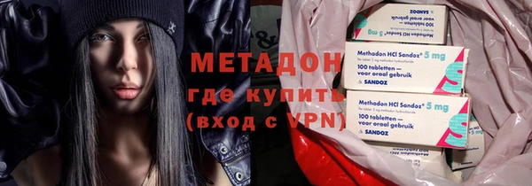 хмурый Аркадак