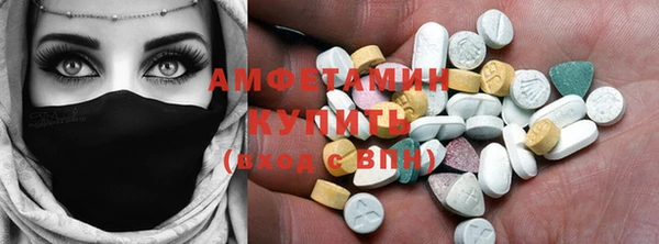 хмурый Аркадак
