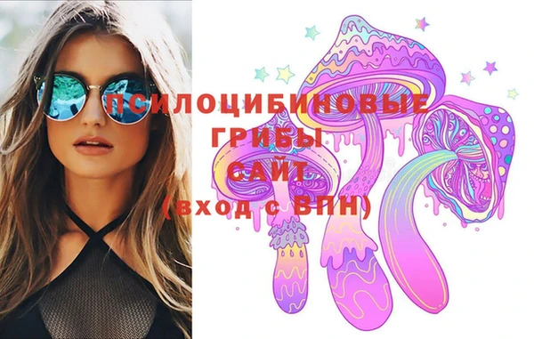 хмурый Аркадак