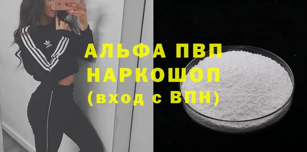 хмурый Аркадак
