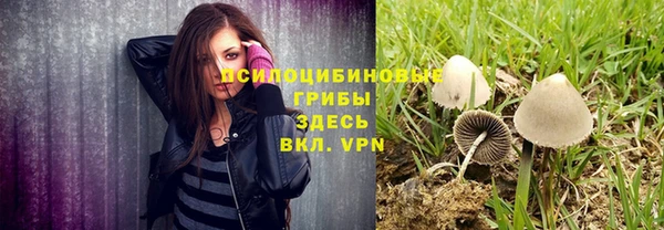 прущая мука Армянск