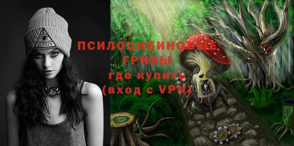 хмурый Аркадак