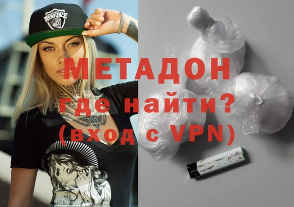 хмурый Аркадак