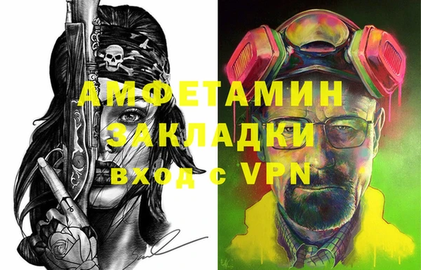 хмурый Аркадак