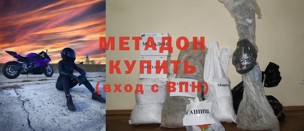 хмурый Аркадак