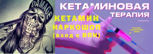 хмурый Аркадак