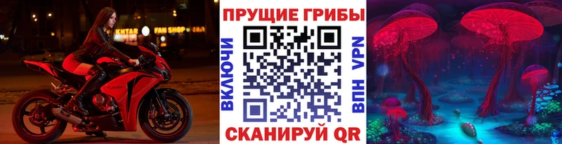 omg сайт  Зуевка  Галлюциногенные грибы Psilocybine cubensis  где купить наркоту 